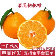 四川春见耙耙柑一件代发耙耙柑水果粑粑柑杷杷柑橘子整箱丑柑桔包