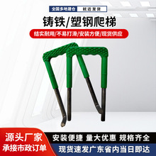 �������̤���z�龮������ˮ����ˮ�G�����^�A������������