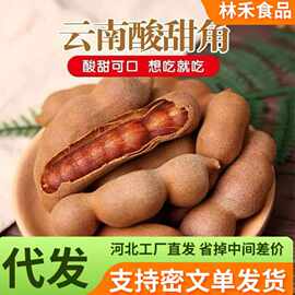 代发甜酸角云南特产新鲜野生酸角孕妇小零食酸甜角罗望子带壳甜角