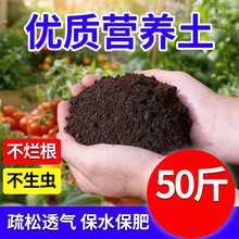 �I�B���B���N�������þGֲ��������ͨ���������Nֲ����������