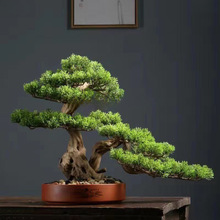 �҃ȿ͏d�ɘ�ӭ�����辰�����ɘ��쾰С�ɘ����Ի����������ɘ�