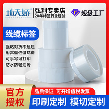 ���|�˺������p�@�W���|P��ͨ�Ř˺���ճ늾������������z���z