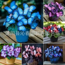 ���羳��̡��¹�������N�Ӻ����N�ӽ������N��ͥԺ���@���ܷN��