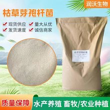 枯草芽孢杆菌1000亿 农业畜禽水产养殖用益生菌 枯草芽孢杆菌