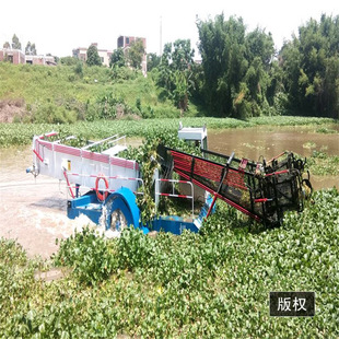 ������Ư��ˮ���ո������ж�dһ�w�����ȫ�ԄӺӵ�������ݴ�