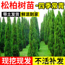 ɰؘļؘ؂Ȱش̖·G׻BAɘ