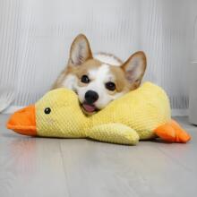 ������߽␞�����w���д���Ȯ�l�»���ҧ����ë�q