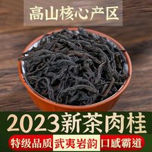 特级肉桂新茶乌龙茶大红袍茶叶浓香型武夷罐装岩茶500g