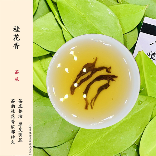 Osmanthus-scented tea (1 jin package) Chaozhou Fenghuang Dancong tea factory gift box bulk loose leaf oolong tea