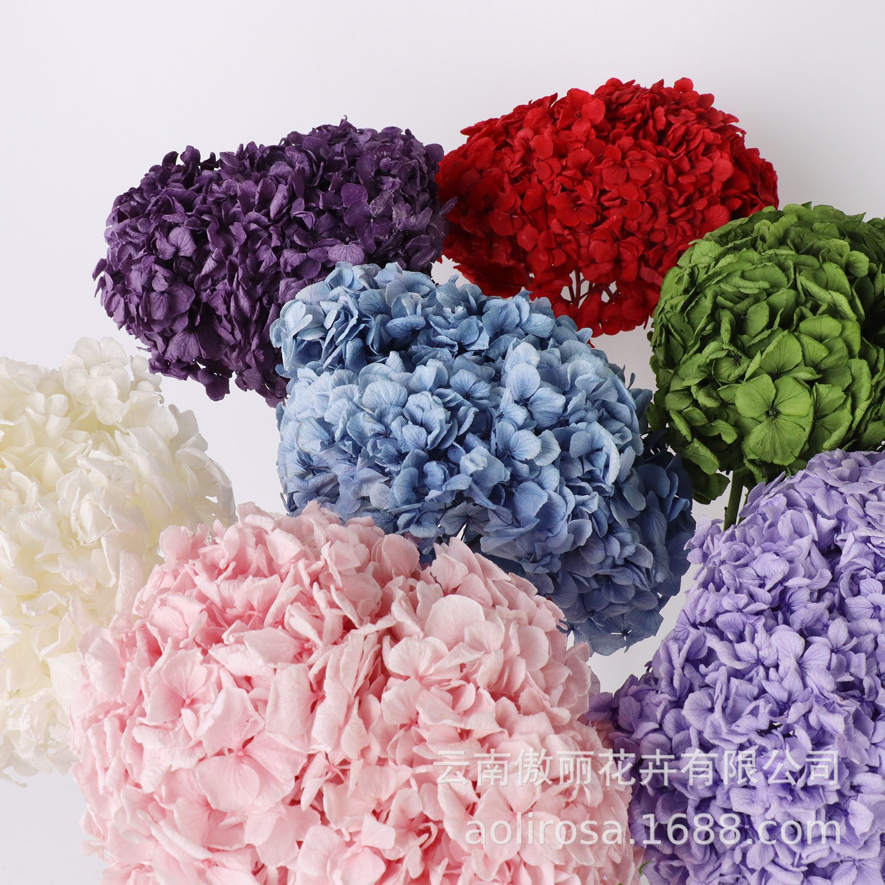 Hortensia de hoja grande flor permanente sola Hortensia con varilla decoración boda decoración floral DIY flor material fábrica al por mayor