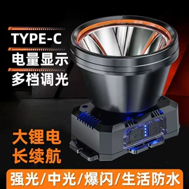 头灯头戴电筒;手电筒;提灯