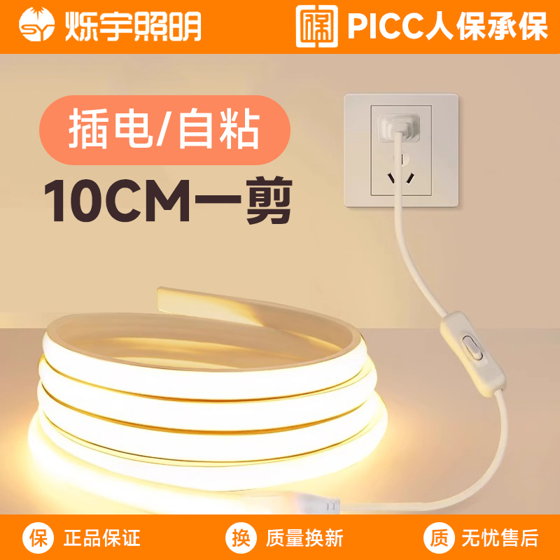 220V Lamp with Led Light Strip Indoor Bedroom Bedside Cob Lamp with Tv Background Wall Switch Plug-In Atmosphere Light