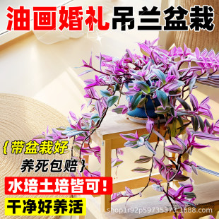 �ͮ���Y���m�����҃ȴ���ֲ����绨���̨�����Ϙ��Gֲ�ļ����B