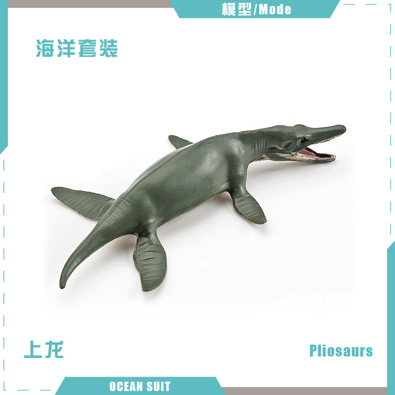 BL-5166 Shanglong 13g