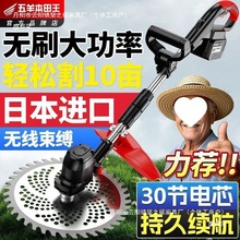 SֱN늄ӸݙCoʽݙCܶ๦rñؓʽô