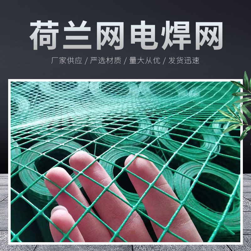 荷兰网浸塑铁丝网园林绿化围栏网家用养殖养鸡围网果园圈地护栏网