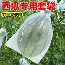 �����״�����ω���x���B���ô�͸��͸�ⶬ��ˮ���Ϲ��״�����