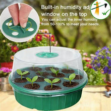 �@ˇֲ��Nֲ�������仨����ⲥ�N���ر��������仨��˷Nˮ��P