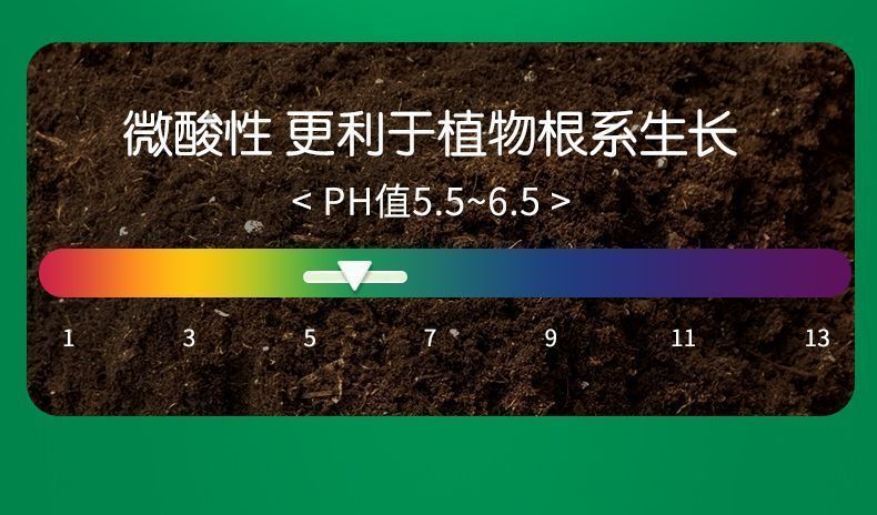 e57a18ae-576a-40c1-898f-2d00726d8fab.jpe