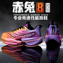 8Proļ¿ŮЬܲЬӌWp؏̼\ЬR