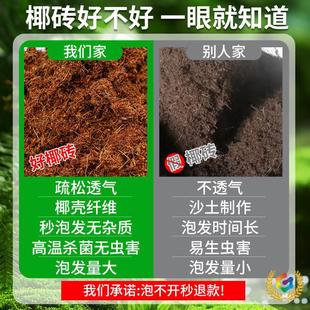 9���KҬ�u�I�B���B����Ҭ�Ӛ�����Ү�u�N������Ó�}Ҭ���u