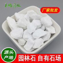 汕头纯白露骨料石整车配送水洗石路面 庭院铺路3-5mm白色石子