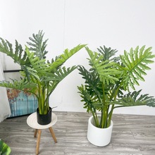 ���W�辰�Gֲ������͏dֲ���҃�����b����Ԕ[������߷���