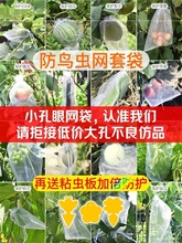 水果套袋果树防鸟防虫专用网袋葡萄无花果番石榴保护枇杷桃子袋子