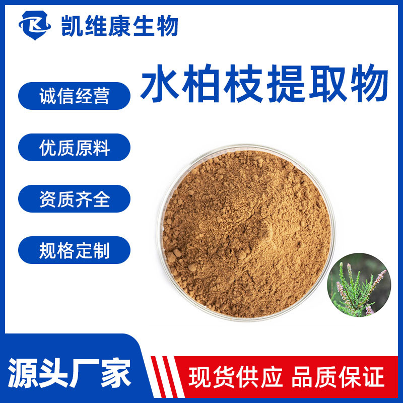 水柏枝提取物10:1 水柏枝浸膏粉 速溶粉 浓缩粉 多规格 现货供应