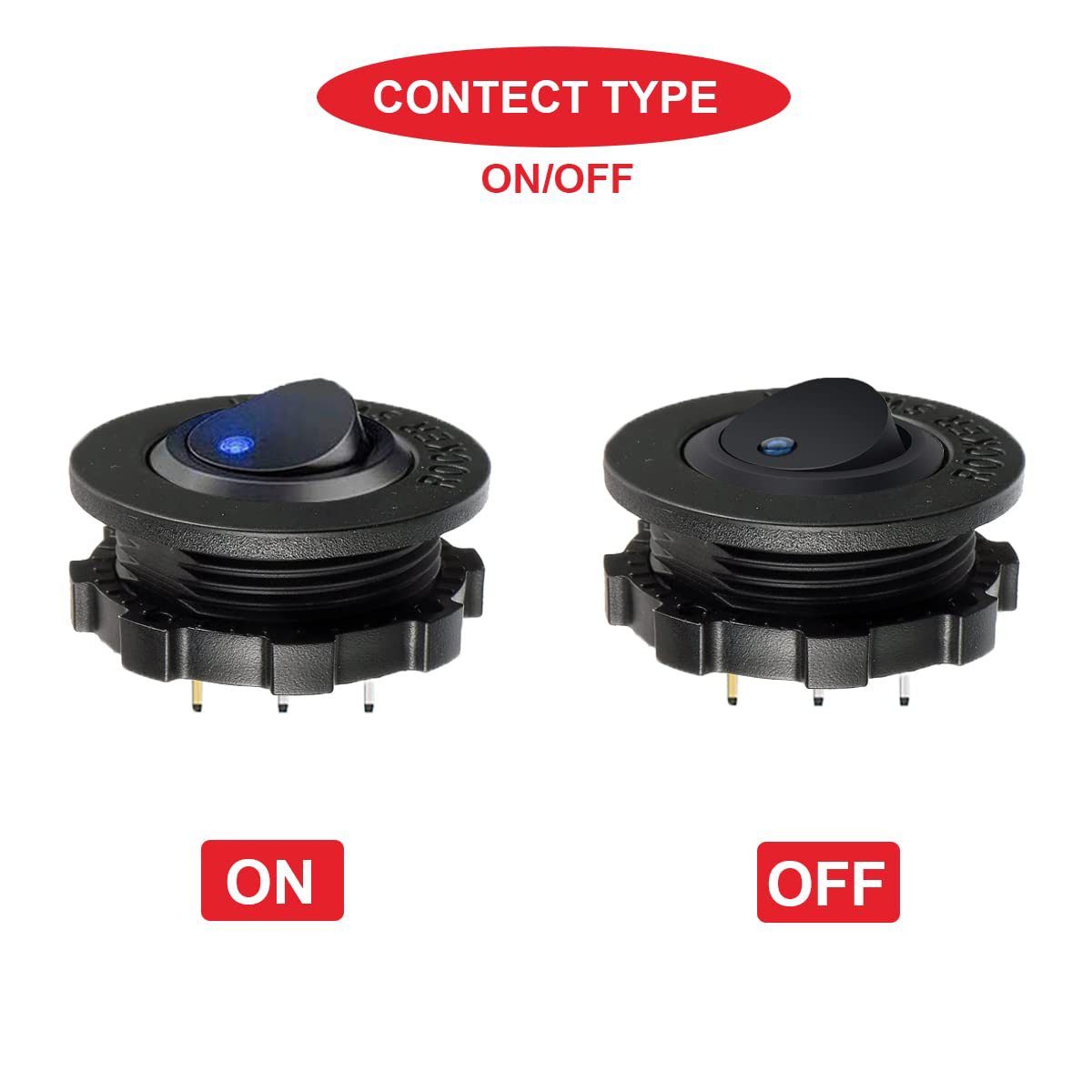 패널의 고양이 눈