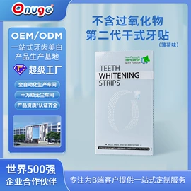 其他口腔护理;牙贴;口腔护理套装