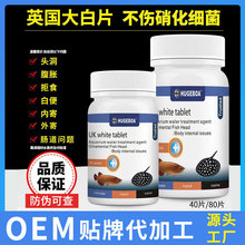 һ�����lӢ�����Ƭ�������~�_�hˮ���^�p�~���~�ǫFș�~ș