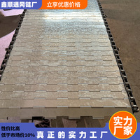 不锈钢链板输送带厂家供应镀锌清洗烘干链板式网链输送机输送带