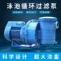 水处理循环吸污泵毛发过滤器
