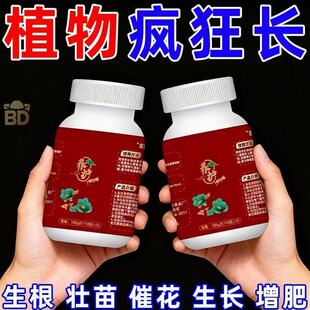 ��sֲ���B�oƬ����ͷ���Ƭ����⛾Gֲ�N���B�����ù���������