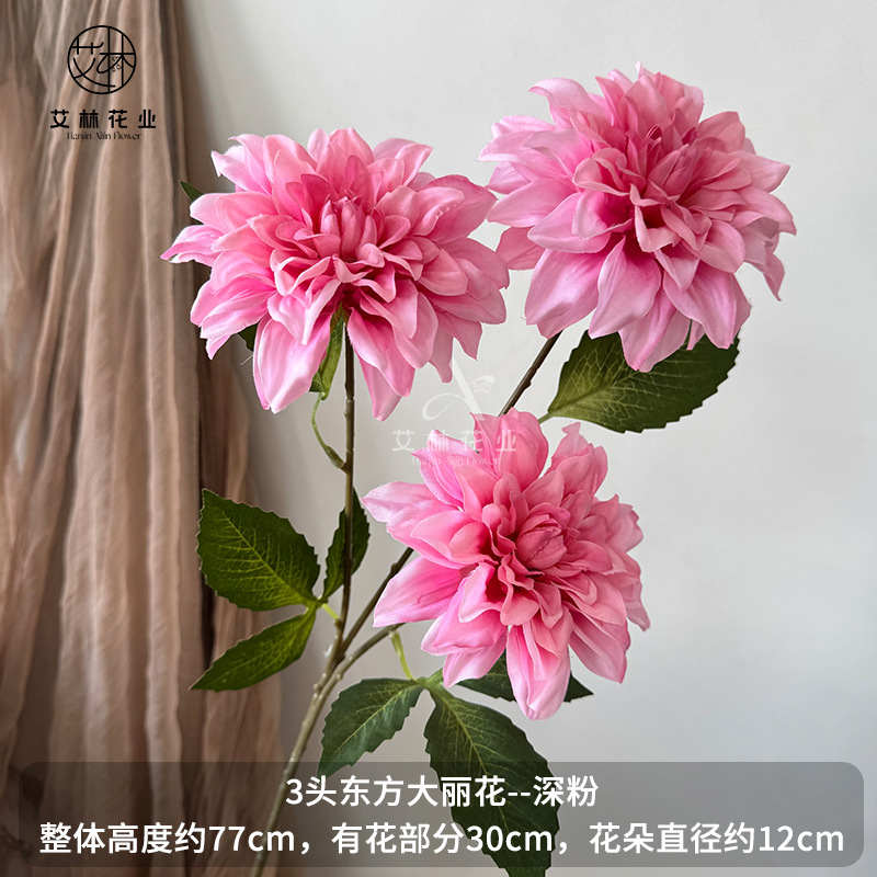 딥 핑크