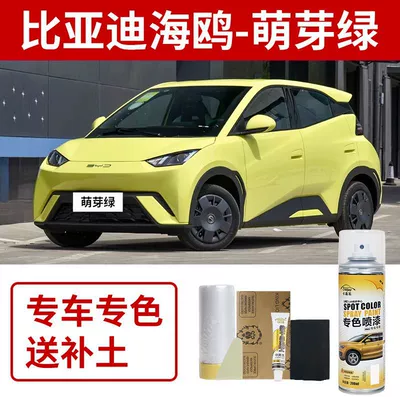 Avtomobil boya qələmləri Sun White Spray Paint Car Scratch - byd-seagull-sprout-green