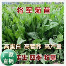 ��܊���ķN�Ӵ��~���Ĳ��Ѷ������ļ������iţ���u���Z�~�ݷN����