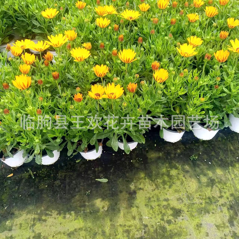 4cffbe08-725f-4edf-b4be-8c8929