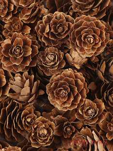 �ɹ������b�diy�����b��׃��@�h���������С�ɻ��ֹ���֦����