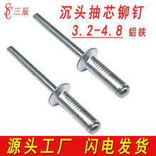 铝制沉头抽芯铆钉平头拉铆钉抽心柳钉装潢卯钉拉钉3.2/4/4.8mm