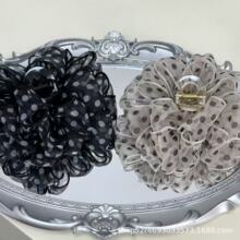 ��ʽ�ڰײ��c�͹žW�����c�߼��М����Lץ�A�l�