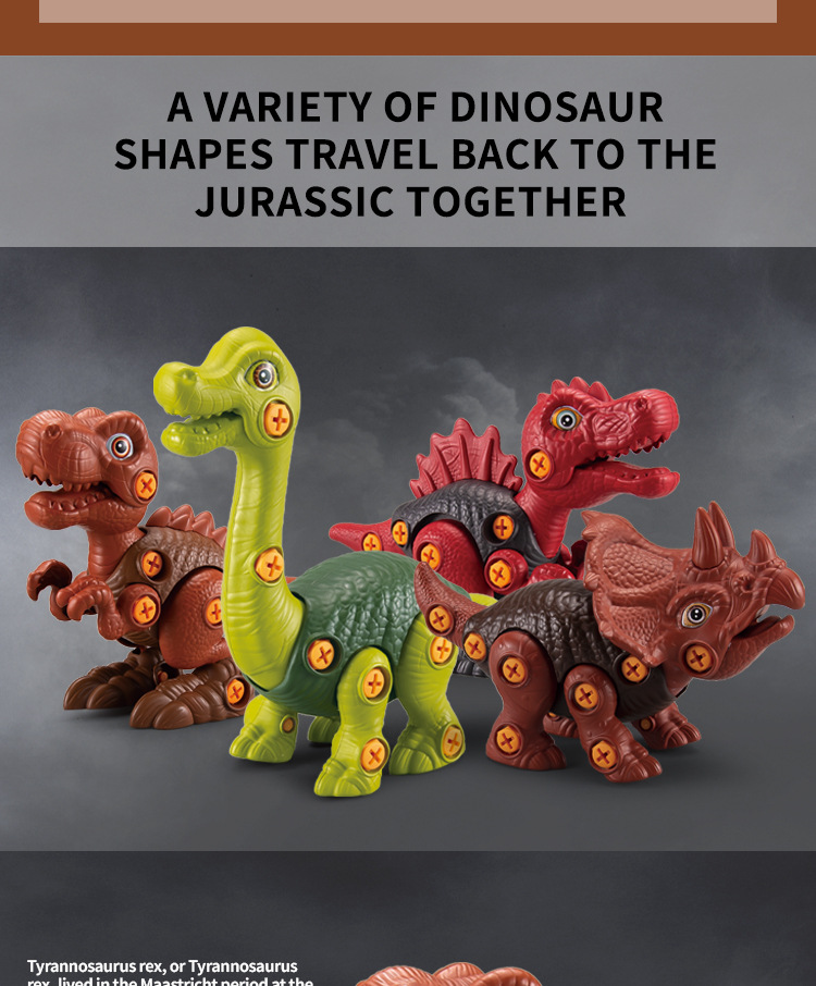 拼装恐龙英文详情图_05.jpg