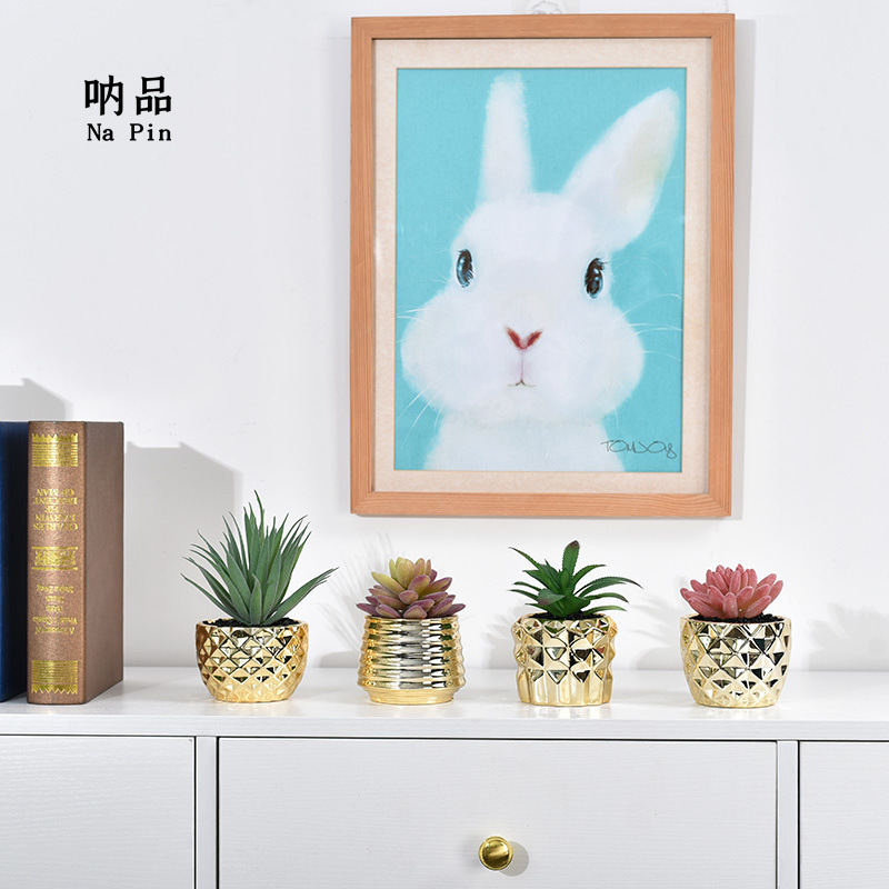 Maceta suculenta de cerámica con baño dorado, estilo fruta