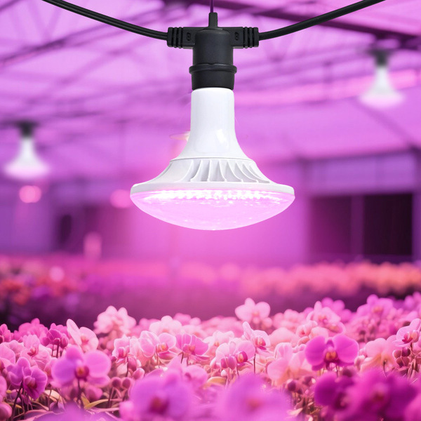 LED fill light
