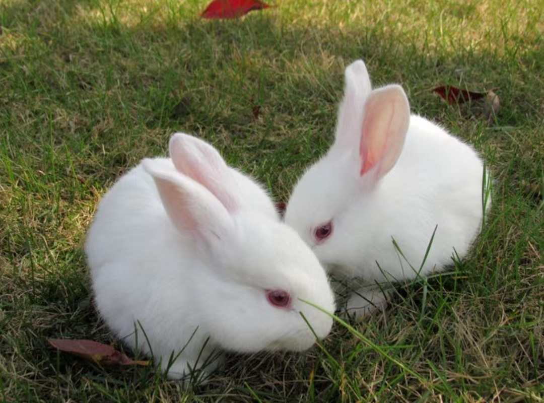 微信图片_202307241448106