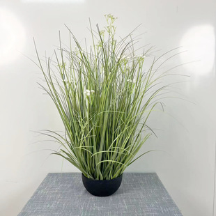 �����JȔ �Ѿ��پGֲ�����ƺ���^���� �����JȔ��β�Ͳ����[��