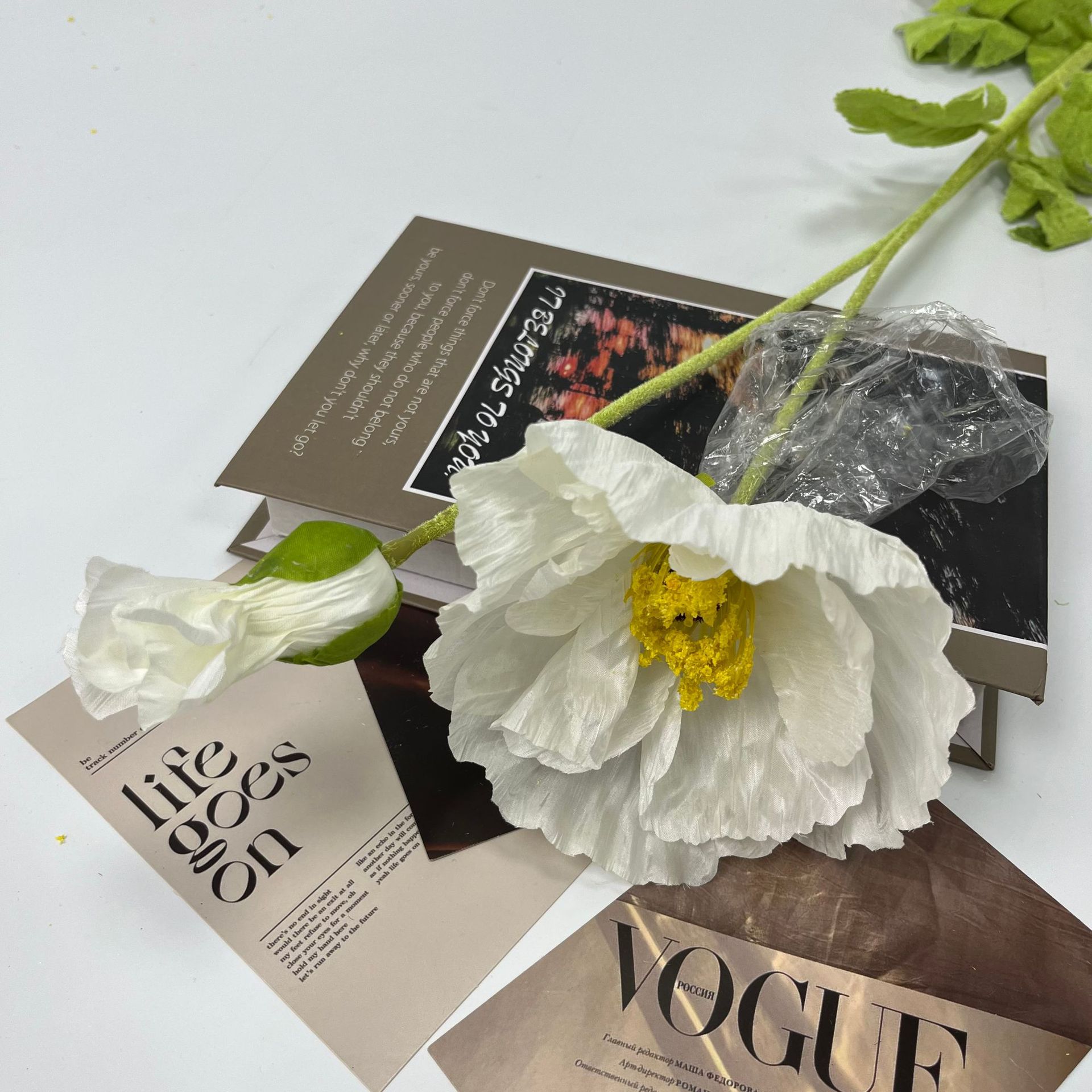 큰 양귀비 흰색