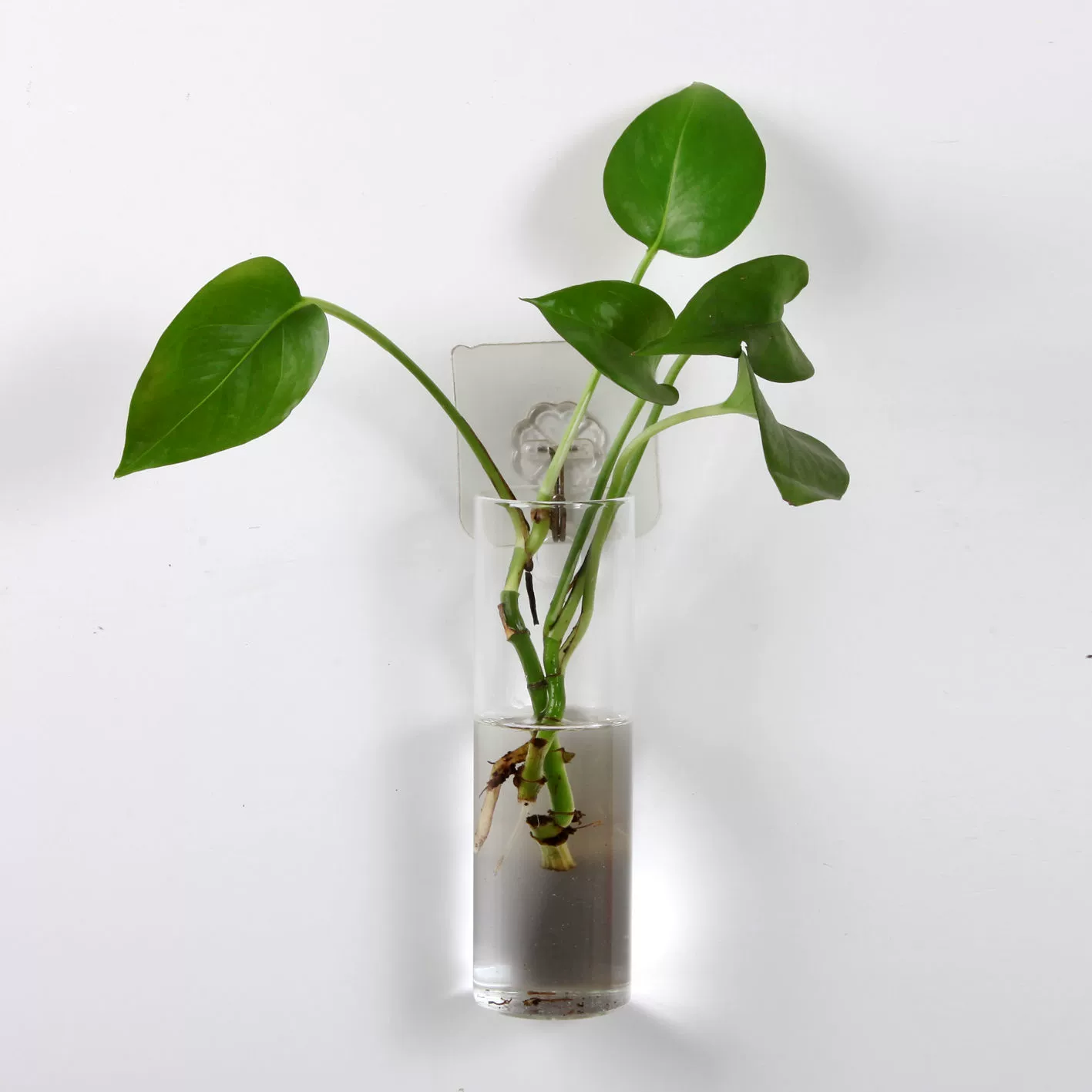 Креативная подвеска гидропонная стеклянная ваза цветочная подвесная бутылка