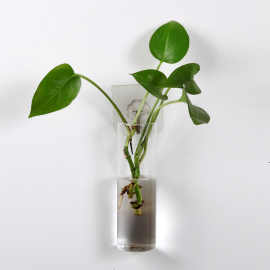 创意悬挂水培玻璃花瓶 插花吊瓶绿萝铜钱草 家居饰品方管挂壁